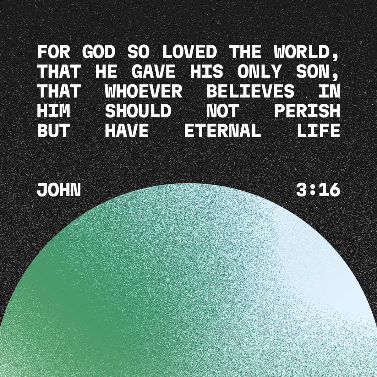 Nathan e Austin tweet media