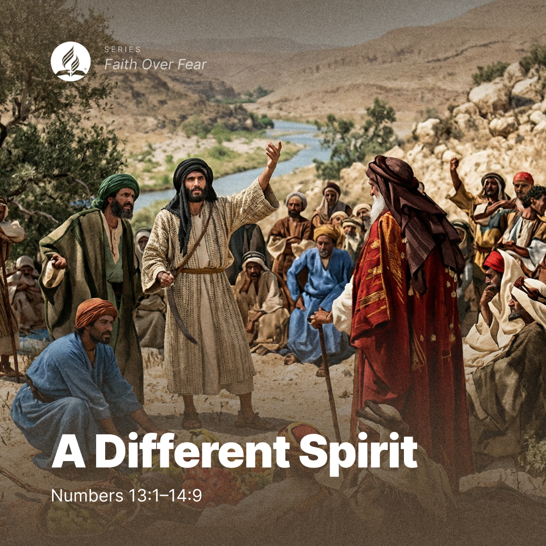 Adventist Church tweet media