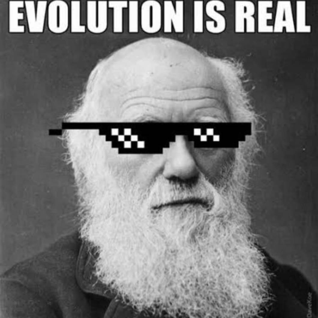 Bill Ancarbone tweet media