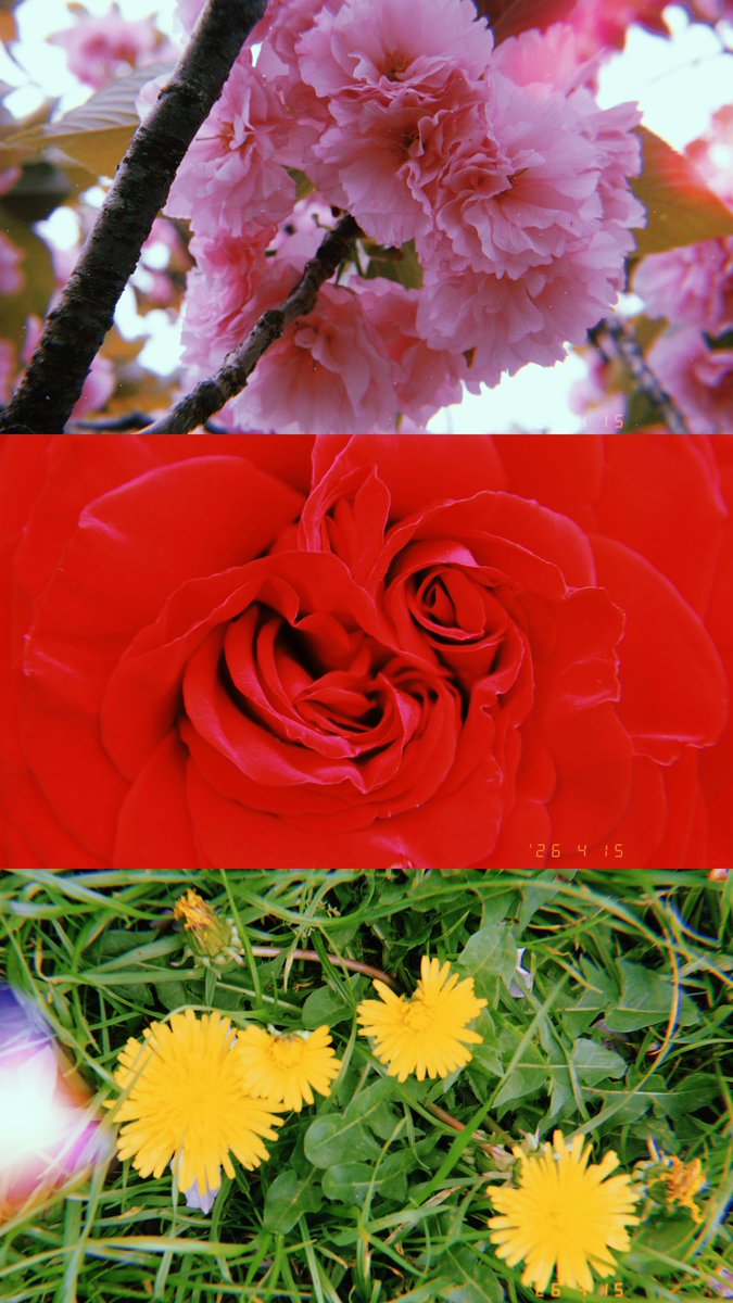 み‼︎ tweet media