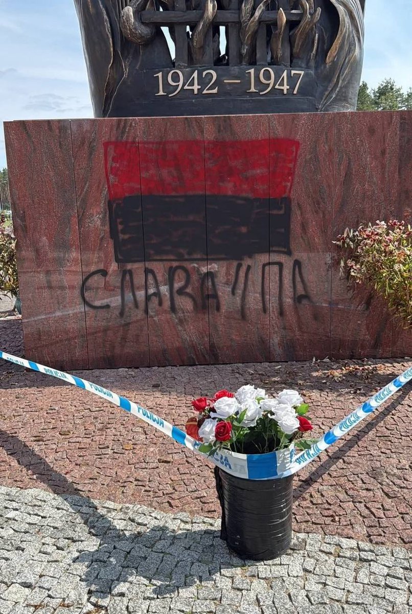 ⬛🟨⬜ Tatiana V.Z. tweet media