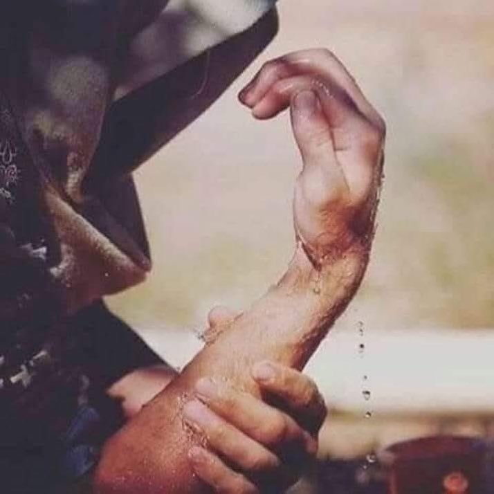 İlayda Mutluer tweet media