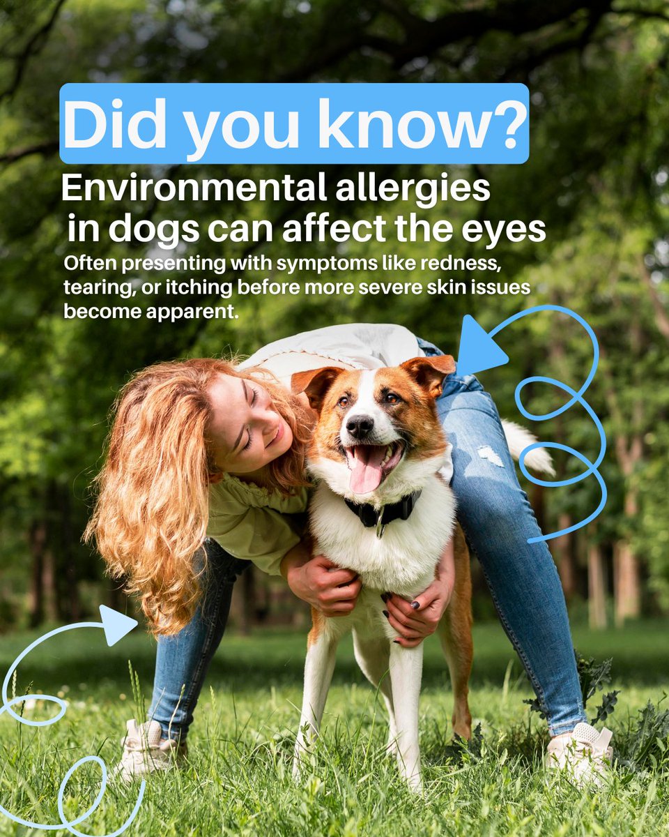 pleasanthill_ah's tweet image. Most people associate allergies in dogs with itchy skin but the eyes can actually be one of the first places symptoms show up. Redness, tearing &amp;amp; irritation around the eyes are worth paying attention to, especially if they keep coming back.🐾🌿#DogAllergies #DogHealth #PetCare