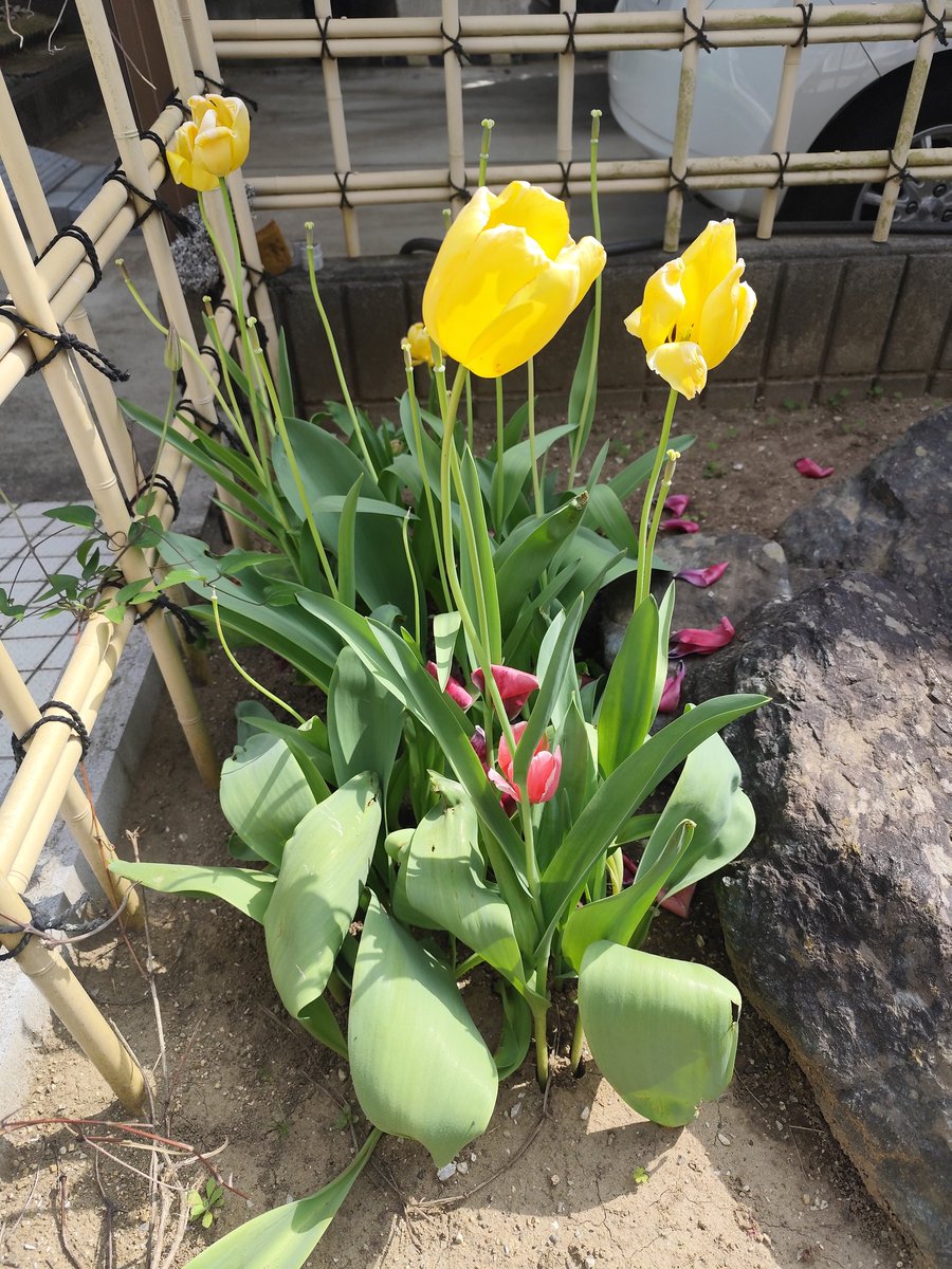 🌊村越 とっぽ🎣🍫 tweet media