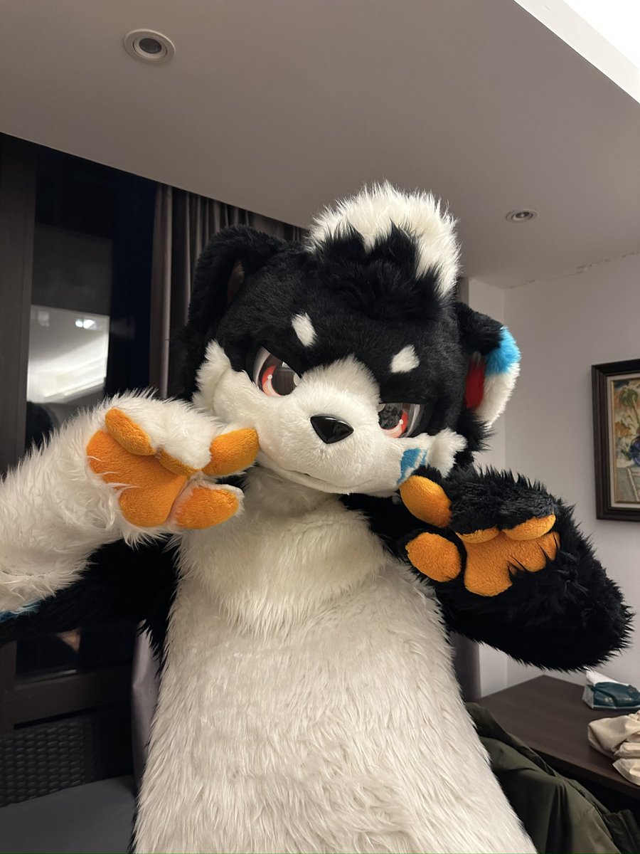 猫葉 까망이→HF tweet media