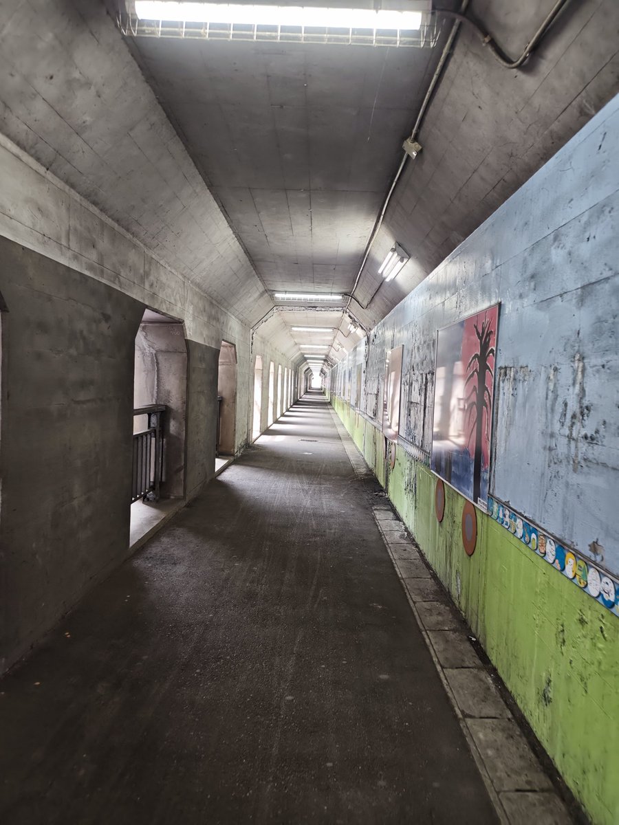 咲々木 花 tweet media