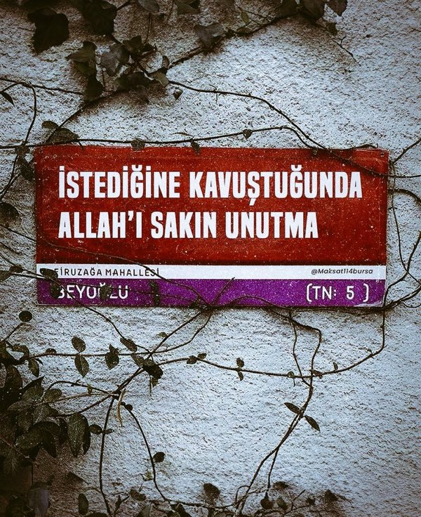 İlayda Mutluer tweet media