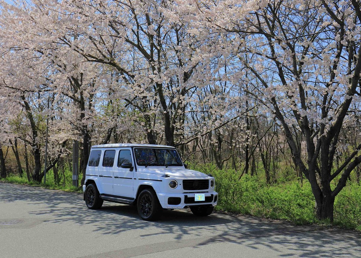 Lovingheartfish's tweet photo. 快晴☀️桜🌸

Under the cherry tree🌸

#メルセデスベンツ 
#Gクラス 
#G450d 
#ゲレンデ 
#mercedesbenz 
#Gclass https://t.co/CNeKYFWKyx