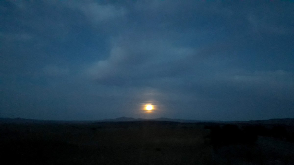 James Hawke tweet media