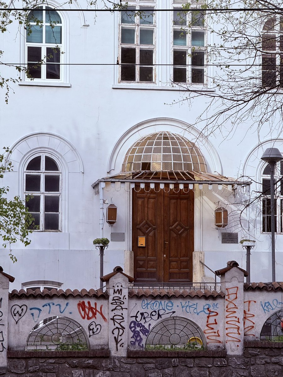 черная кощка tweet media