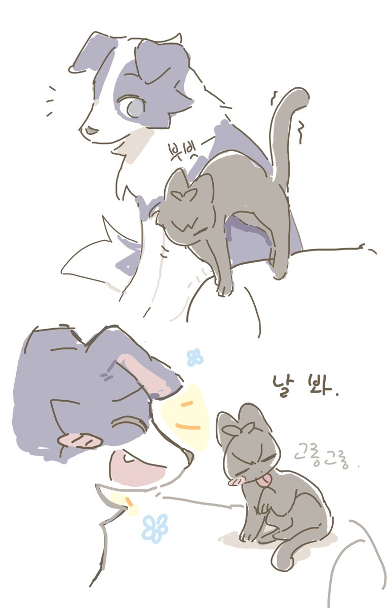 도시락 tweet media