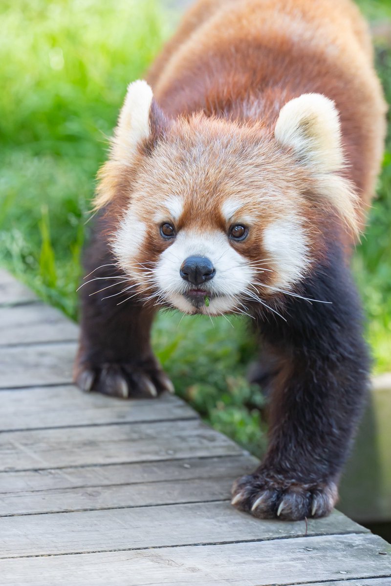 るん🐾 tweet media