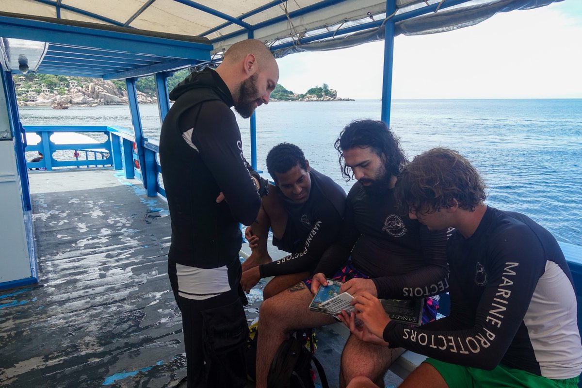 GoProIDCKohTao's tweet photo. Our Divemaster Internship program gives you the opportunity to earn your first Professional level diving certification, working alongside the most experienced professional level development team in scuba diving. https://t.co/s9GKA1nOAp #Divemaster #KohTao #Thailand #diving https://t.co/faXsACaR0N