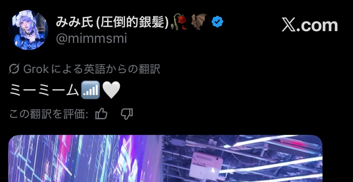 みみ氏(圧倒的銀髪)🥀🦇 tweet media