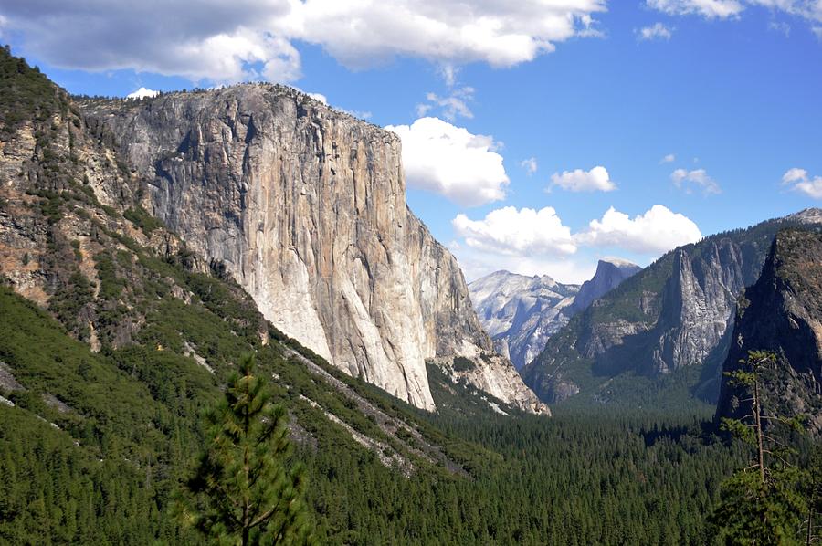 JohnHug2000's tweet image. Check out this Yosemite National Park image available to purchase as prints or displayed on a variety of products that I uploaded to my Fine Art America/Pixels website.

john-hughes-photographic.pixels.com/featured/yosem…