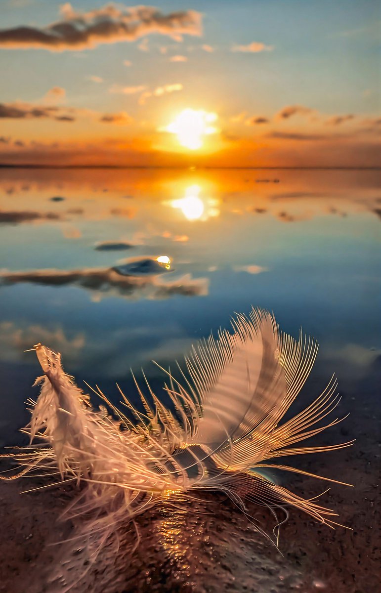 WeAreNatur3's tweet photo. Appreciating the beauty in the small things gives life a greater meaning. ✨️
Photo by Kimberley Phillips.
#nature #photographer #photography #PhotoMode #photooftheday #photographers #naturebeauty #simplicity #smallthings #life #meaning #WeAreNature https://t.co/T5CMokslxV