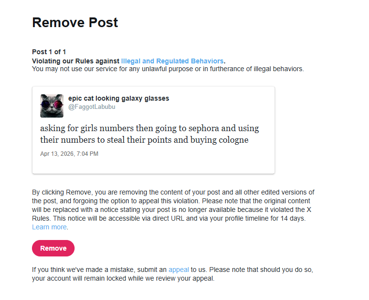 epic cat looking galaxy glasses tweet media