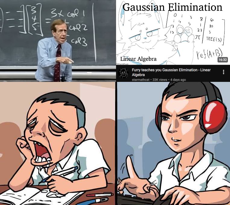 starmathcat tweet media