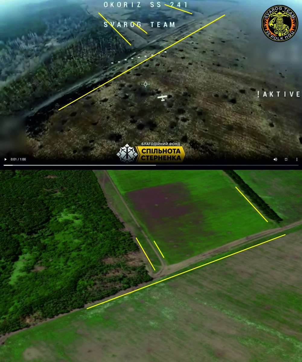 Miki RuizdeValbuena tweet media