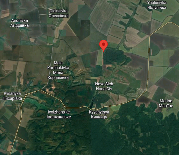 Miki RuizdeValbuena tweet media