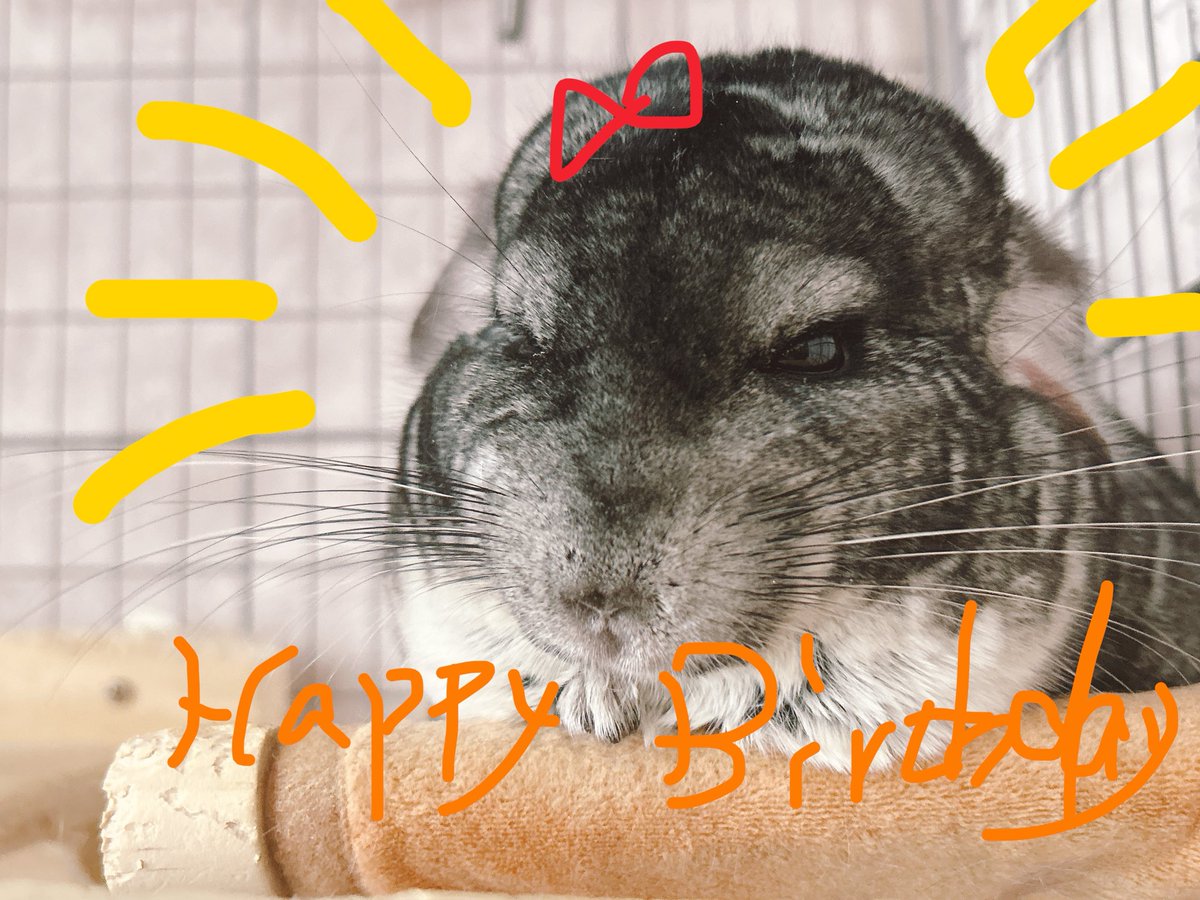 きなこもこ tweet media