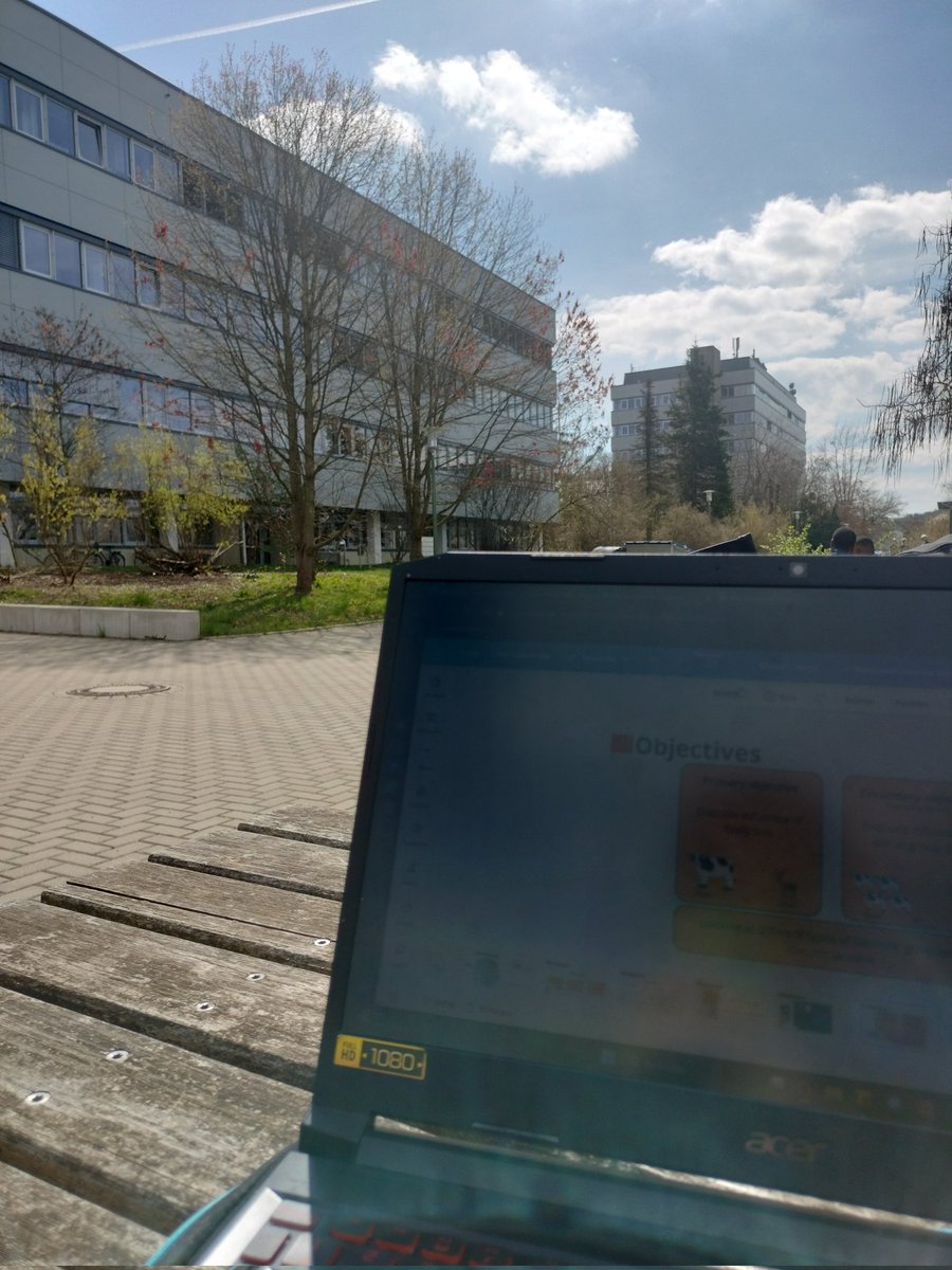 𓂃˖ ࣪⊹ саmоmillе 🌙 tweet media