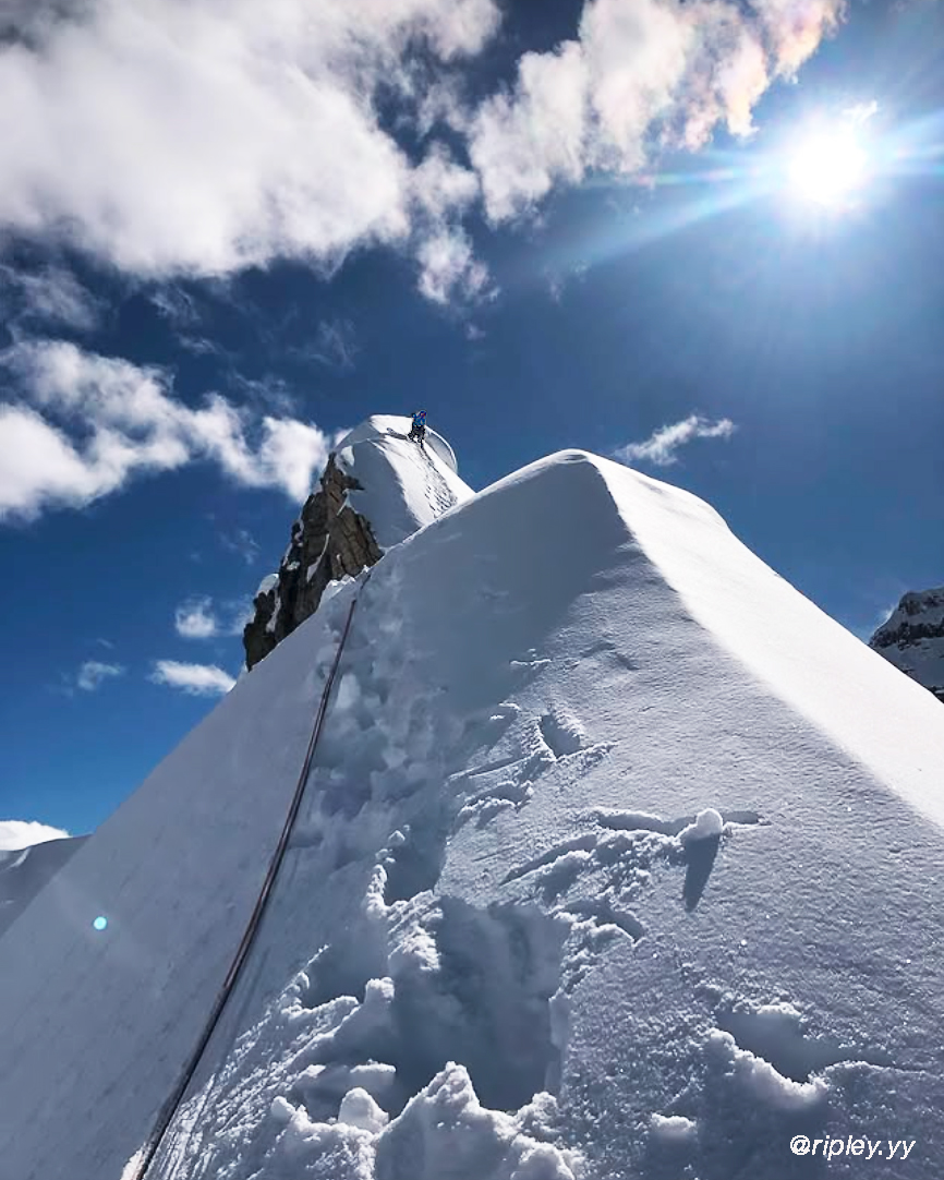 L. Carlos Garranzo tweet media