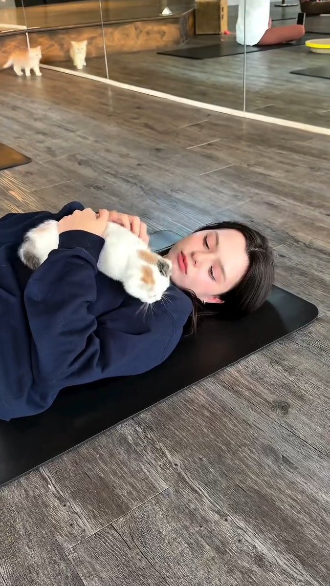 nook_sone's tweet image. ตั้งแต่เจอเบค ชีวิตอยากเป็นอยู่สองอย่าง
หมา กับ แมว

#beckysangels