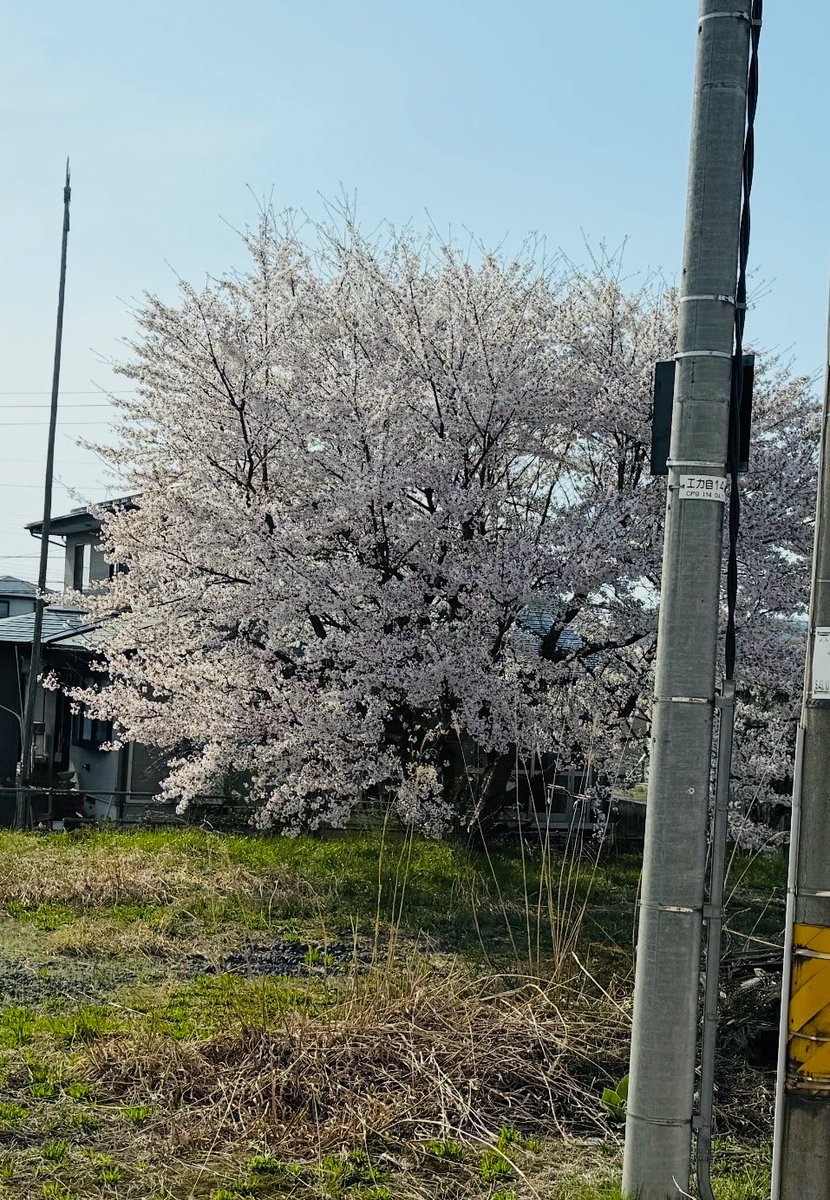 清野とおる tweet media