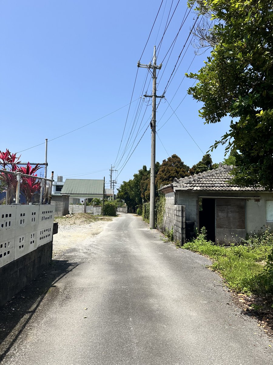 びすこ🏝️離島ラバー tweet media