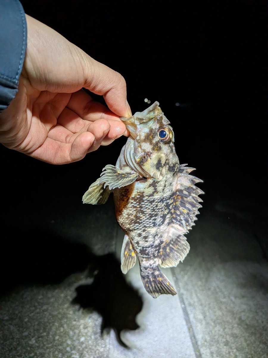 Komannman's tweet photo. 春休みに岩手行きました。
クッソ寒かったけど色々見れて良かったです。 https://t.co/yykCLV3eoy