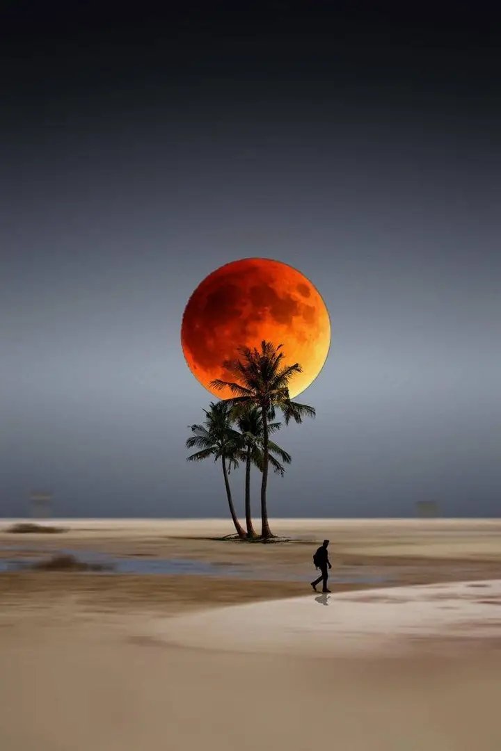 کتنے ہی گناہ تم نے کیے، اور تمہارا گمان تھا کہ تمہیں کوئی نہیں دیکھ رہا؟
لیکن اللہ تمہیں پوشیدگی میں دیکھتا ہے، اعلانیہ دیکھنے سے پہلے… 
پس اس کی نظر سے حیا کرو۔ 🌿

امام ابن قیم رحمہ اللہ  
الداء والدواء