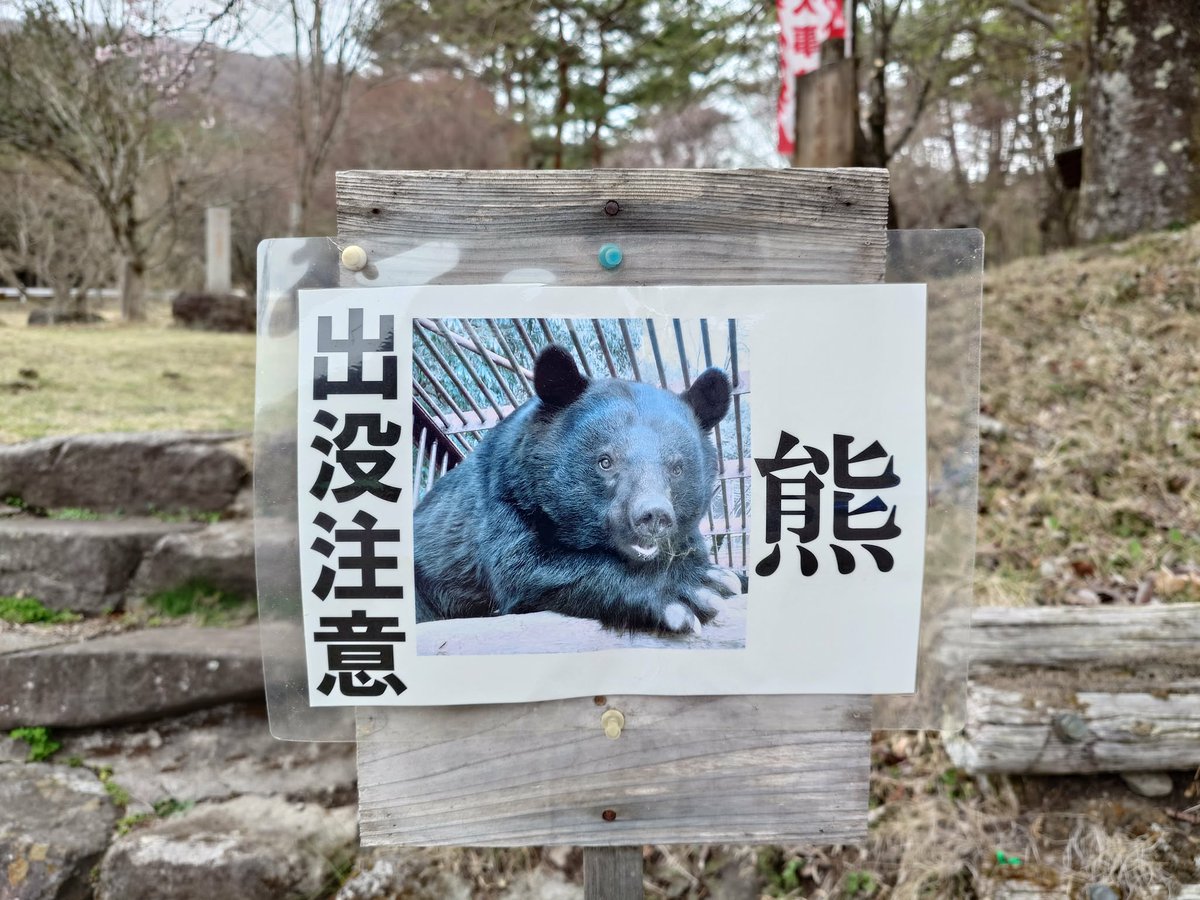 tcs-usui tweet media