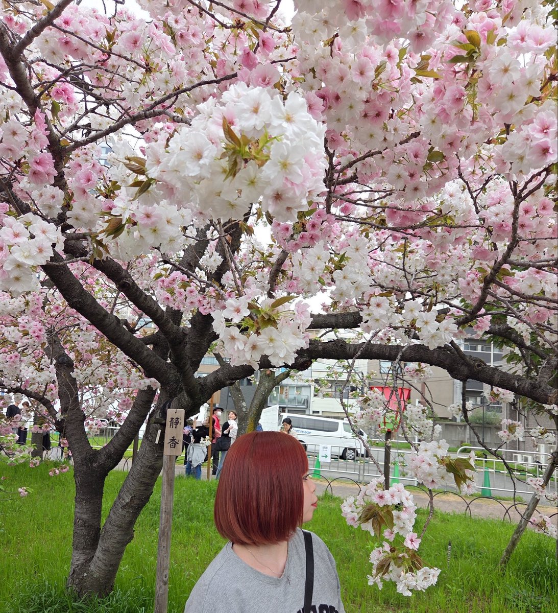 黒江（響）🌹ノアルージュ🌹 tweet media