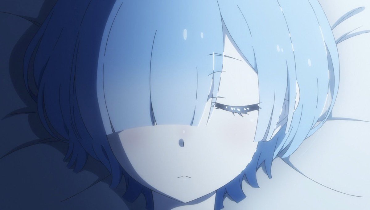 Shirou🦋 tweet media