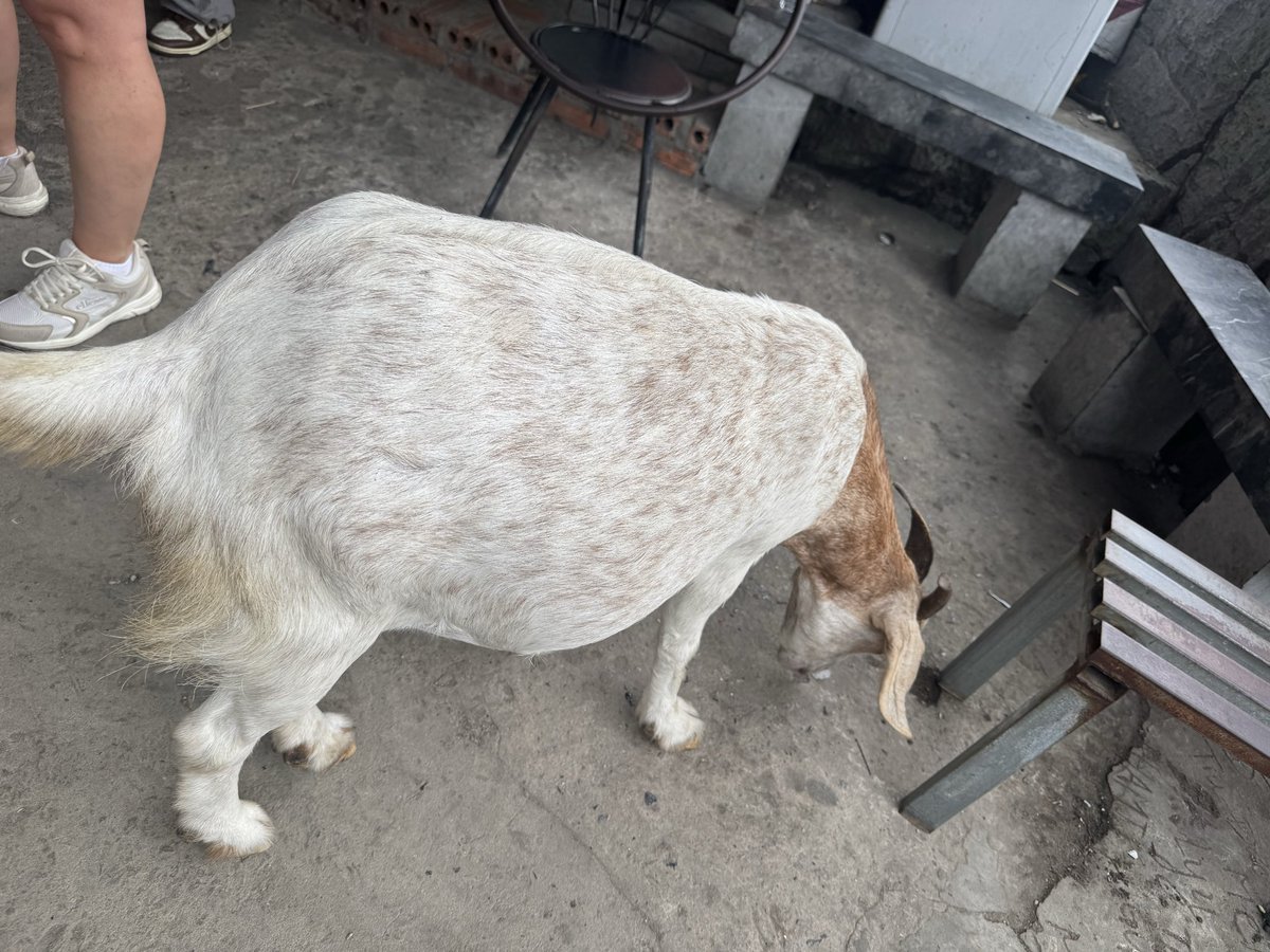 れなたろ。 tweet media