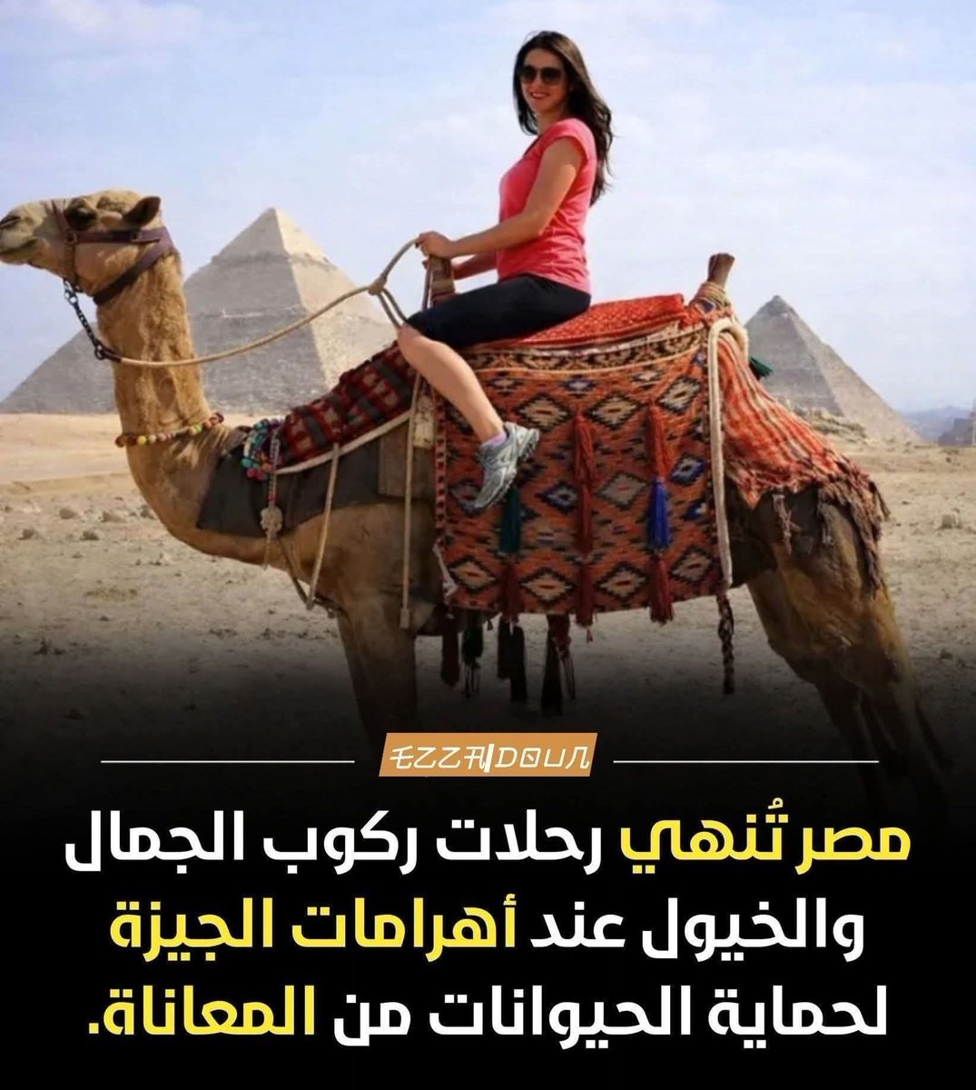 مــد(🇪🇬مـصـر🇪🇬)نــيــة tweet media