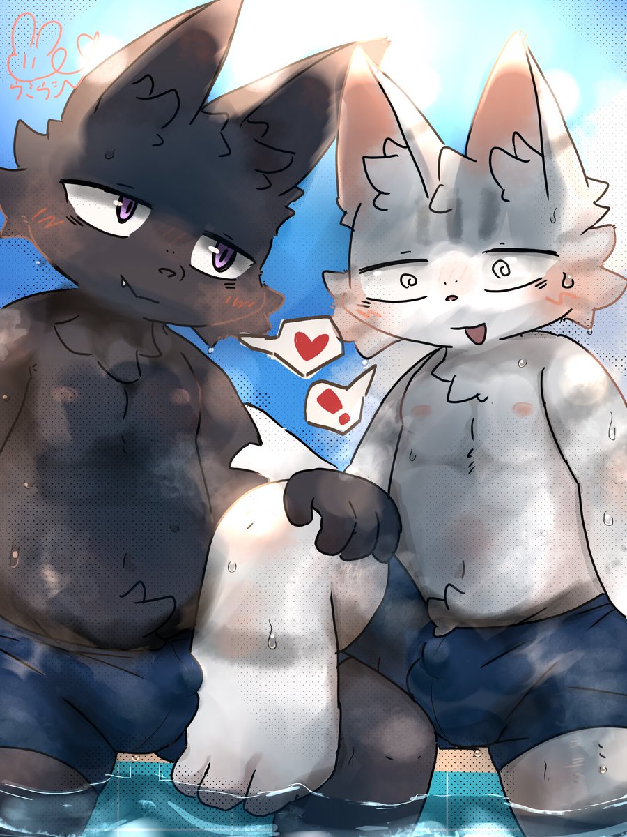 猫ウミウシ tweet media