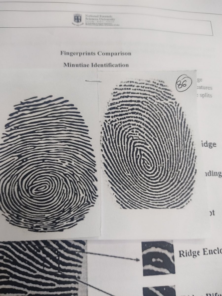 21_harshisharma's tweet photo. A truly memorable experience it was.....📃
@NFSU_Delhi 
#FPQD
#forensicscience https://t.co/c5f5RCuw0k