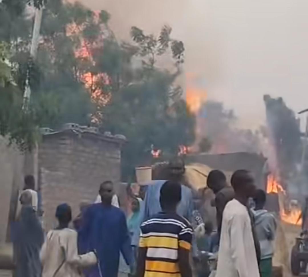 PATRIOTIC SOJA ($TSIR-MUNCHAN) tweet media