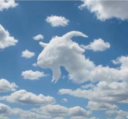 𝓝𝓲𝓿𝓪 tweet media