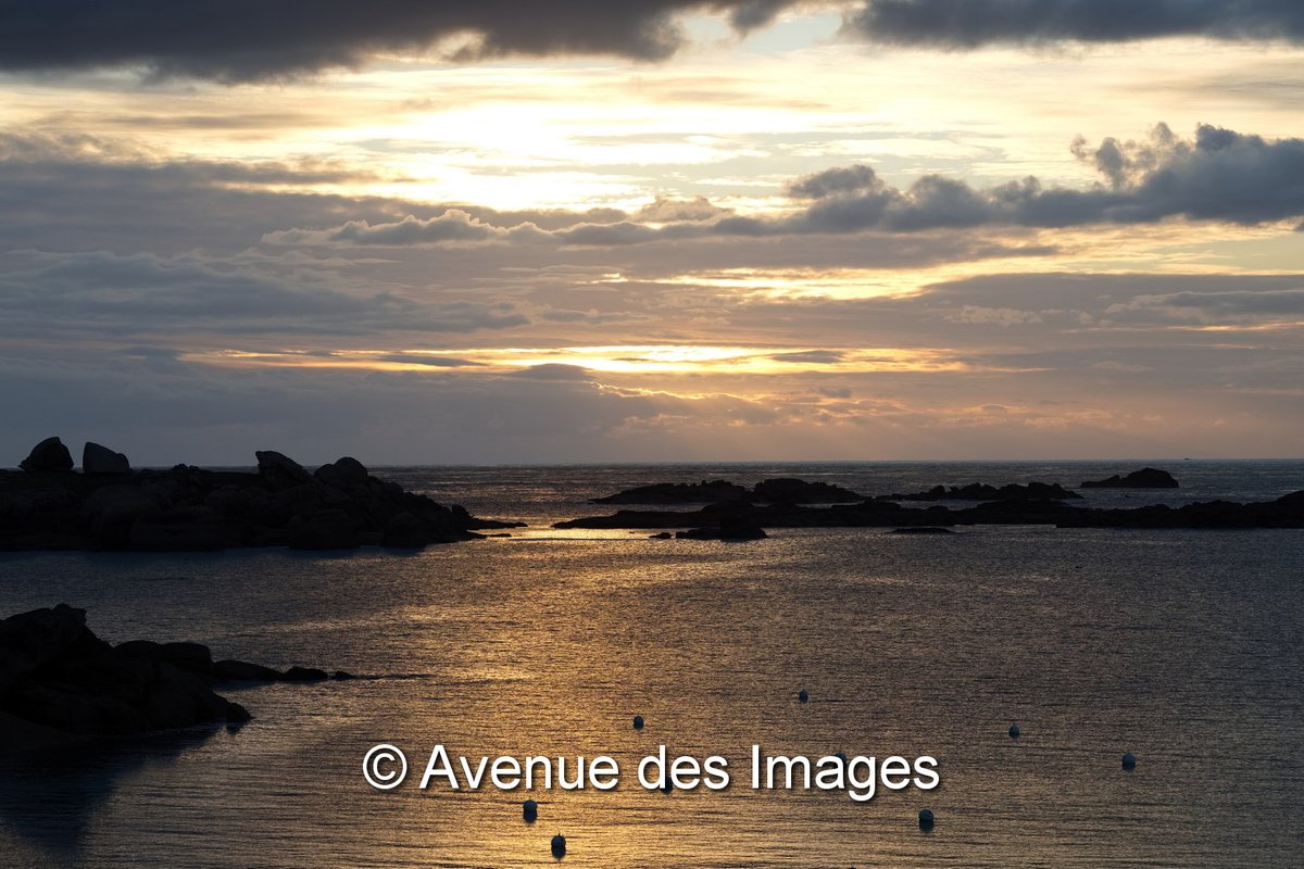 Avenue des Images tweet media