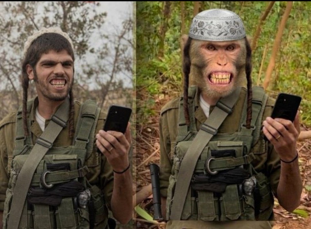 Rami Mahroos tweet media