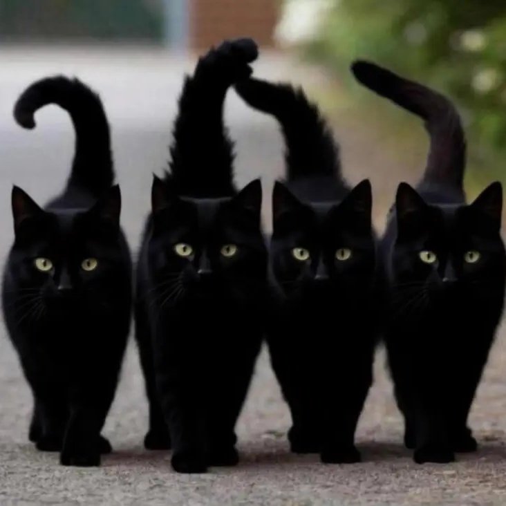 よちえ ℛ⃛ੈ0 tweet media