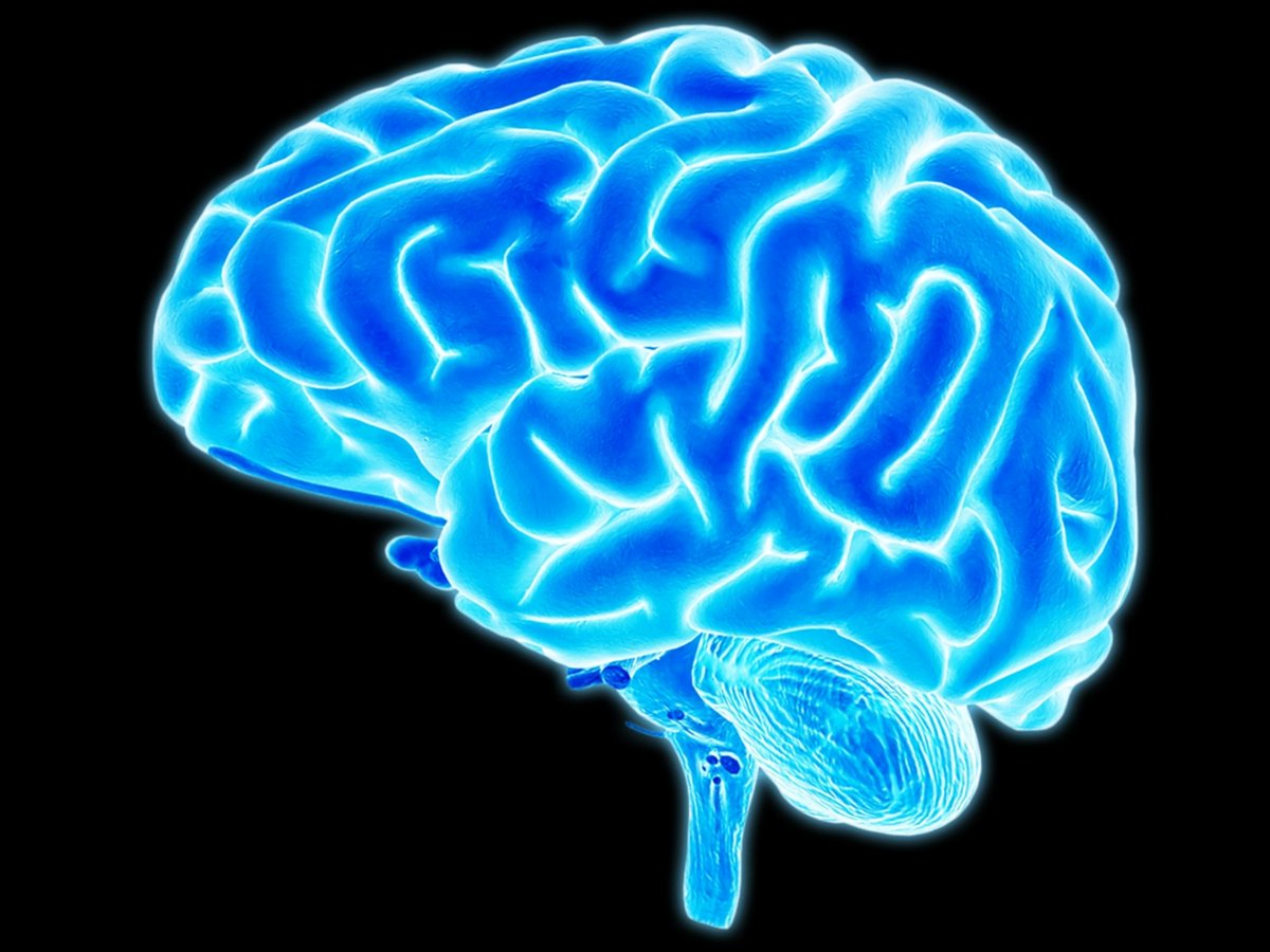 Michael Angelo Caruso - Presentation Tips tweet media