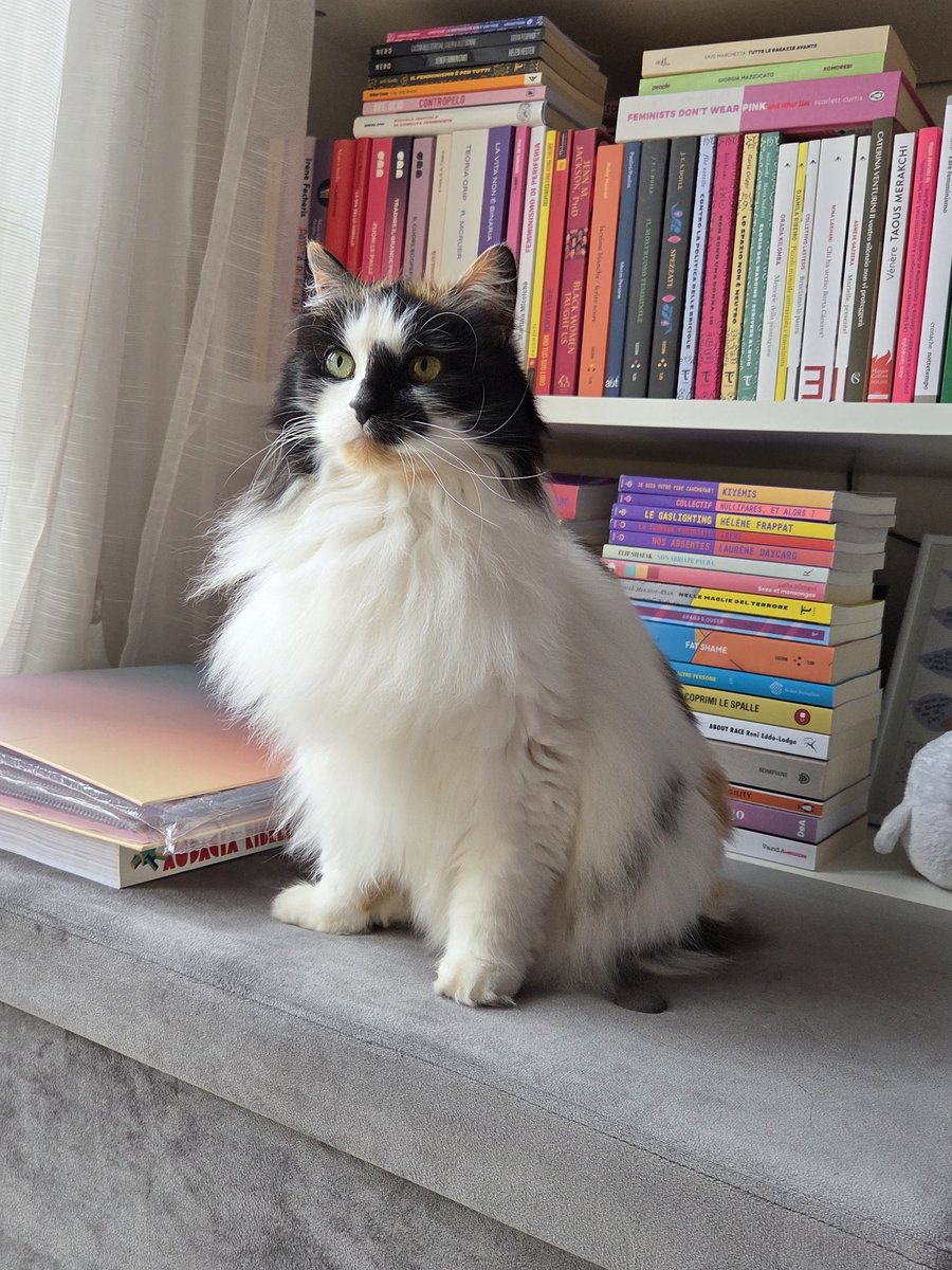 🖤 𝕷𝖆𝖉𝖞 𝕯𝖞𝖘𝖙𝖍𝖞𝖒𝖎𝖆 🖤 tweet media