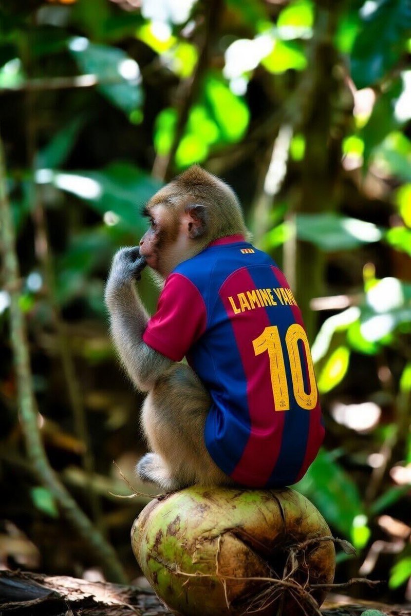 Itoshi Sae 🇫🇷⚜️ tweet media