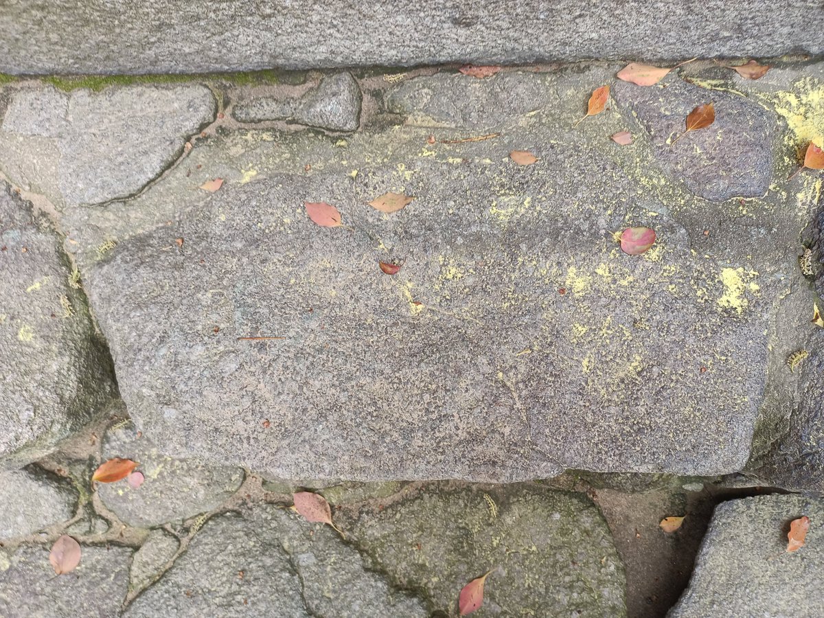 もっちり tweet media