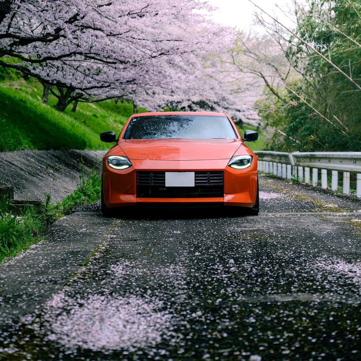 たぴ🍊 tweet media