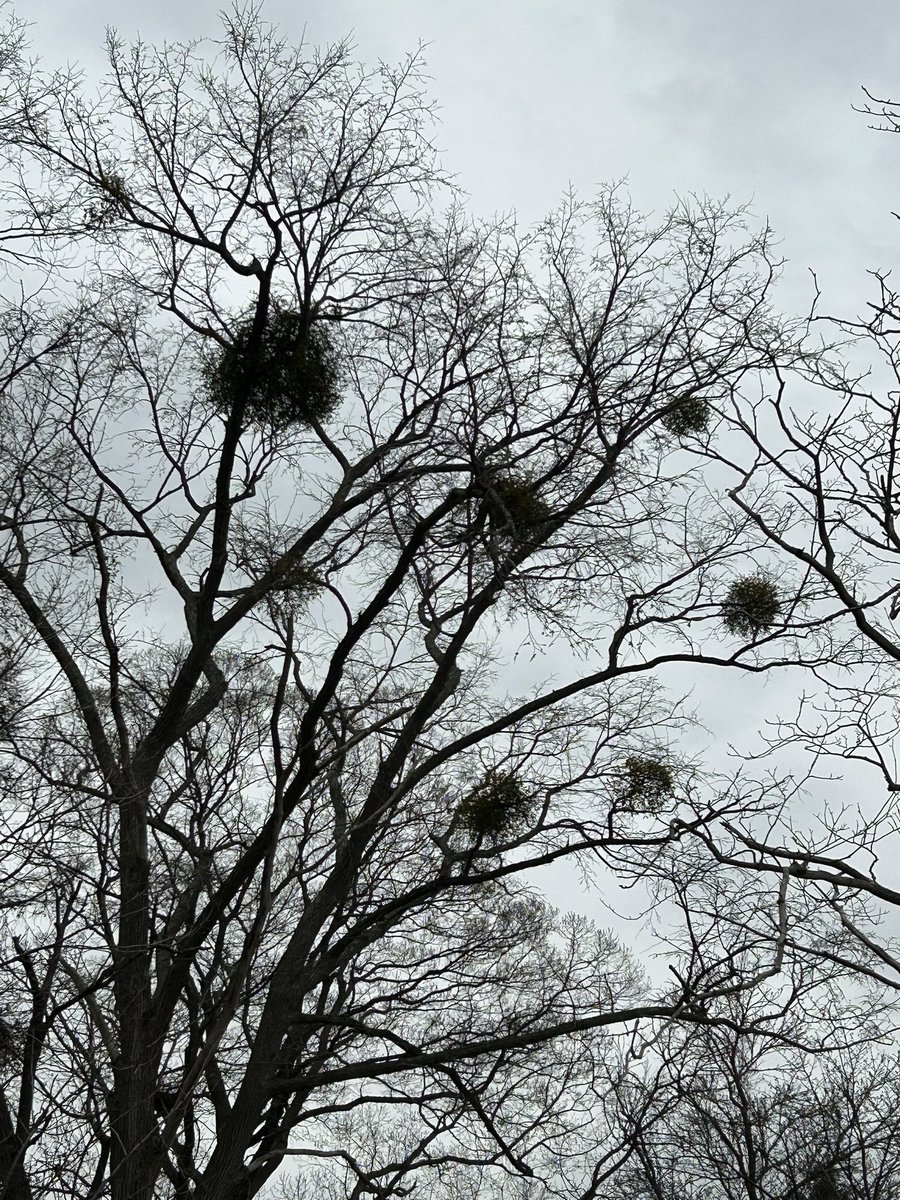 ✴︎あり✴︎ tweet media